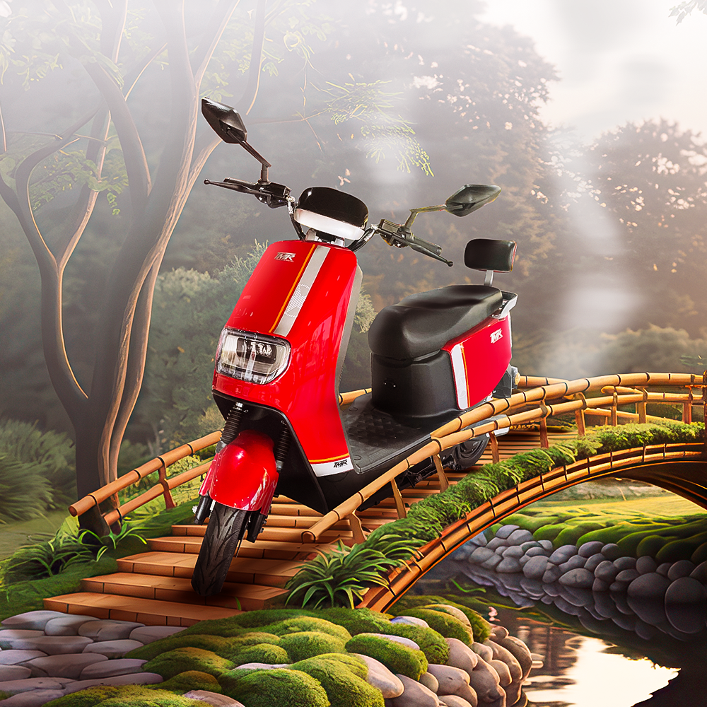 Q1 Eco Bike