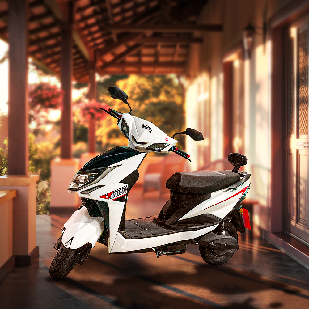 ZL Eco Bike